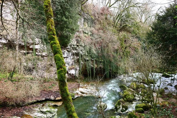 Pohled Park Conflanc Tines Nacházející Mezi Obcemi Ferreyres Sarraz Chevilly — Stock fotografie