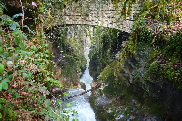 Pohled Park Conflanc Tines Nacházející Mezi Obcemi Ferreyres Sarraz Chevilly — Stock fotografie