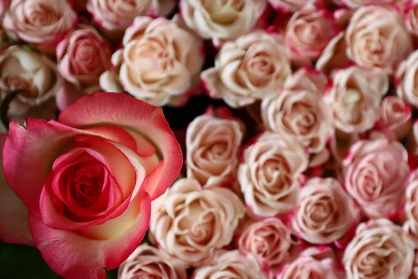 Çiçek buketi manzarası 