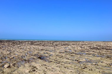 Normandiya 'nın kuzeyindeki Saint-Lonard' da La Roche-qui-pleure plajında manzara 