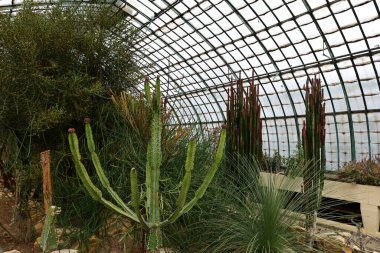 Jardin des Plantes 'in büyük seralarının manzarası 1836 ve 2010 yılları arasında Paris' teki Jardin des Plantes 'te inşa edilmiş beş adet metal çerçeveli seradan oluşmaktadır.