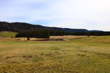 Jura 'daki bir ormanın manzarası, Batı Avrupa' da çoğunlukla Alpler 'in kuzeybatısındaki Fransa ve İsviçre sınırı boyunca yer alan bir dağ silsilesidir.