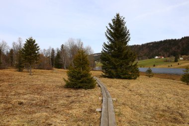 Jura 'daki bir ormanın manzarası, Batı Avrupa' da çoğunlukla Alpler 'in kuzeybatısındaki Fransa ve İsviçre sınırı boyunca yer alan bir dağ silsilesidir.