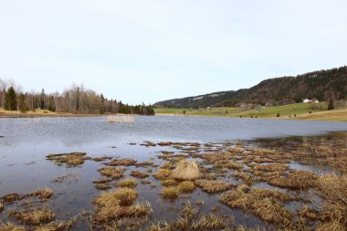 Batı Avrupa 'da yer alan bir dağ sırası olan Jura tepesindeki göle bakın, çoğunlukla Alpler' in kuzeybatısındaki Fransa ve İsviçre sınırı boyunca.