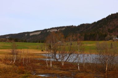 Jura 'daki bir ormanın manzarası, Batı Avrupa' da çoğunlukla Alpler 'in kuzeybatısındaki Fransa ve İsviçre sınırı boyunca yer alan bir dağ silsilesidir.