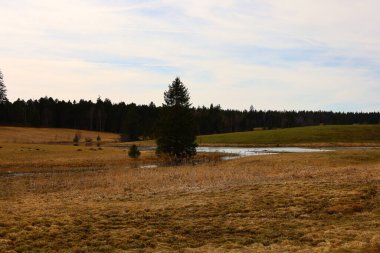 Jura 'daki bir ormanın manzarası, Batı Avrupa' da çoğunlukla Alpler 'in kuzeybatısındaki Fransa ve İsviçre sınırı boyunca yer alan bir dağ silsilesidir.