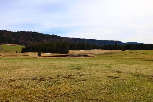 Jura 'daki bir ormanın manzarası, Batı Avrupa' da çoğunlukla Alpler 'in kuzeybatısındaki Fransa ve İsviçre sınırı boyunca yer alan bir dağ silsilesidir.