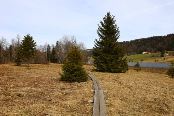 Jura 'daki bir ormanın manzarası, Batı Avrupa' da çoğunlukla Alpler 'in kuzeybatısındaki Fransa ve İsviçre sınırı boyunca yer alan bir dağ silsilesidir.
