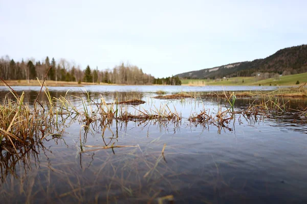 Batı Avrupa 'da yer alan bir dağ sırası olan Jura tepesindeki göle bakın, çoğunlukla Alpler' in kuzeybatısındaki Fransa ve İsviçre sınırı boyunca.