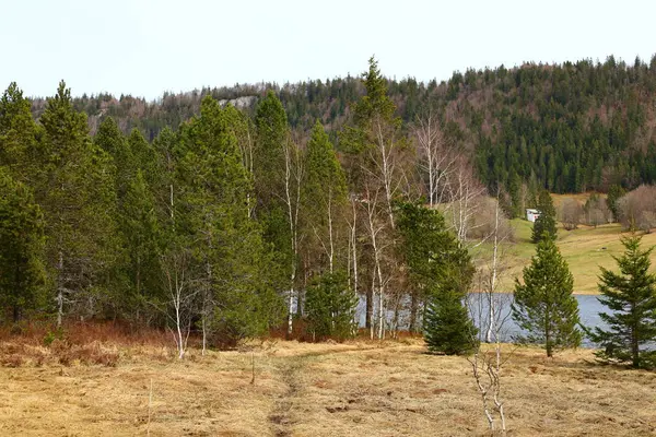Batı Avrupa 'da yer alan bir dağ sırası olan Jura tepesindeki göle bakın, çoğunlukla Alpler' in kuzeybatısındaki Fransa ve İsviçre sınırı boyunca.