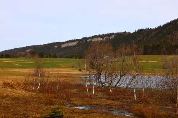 Jura 'daki bir ormanın manzarası, Batı Avrupa' da çoğunlukla Alpler 'in kuzeybatısındaki Fransa ve İsviçre sınırı boyunca yer alan bir dağ silsilesidir.