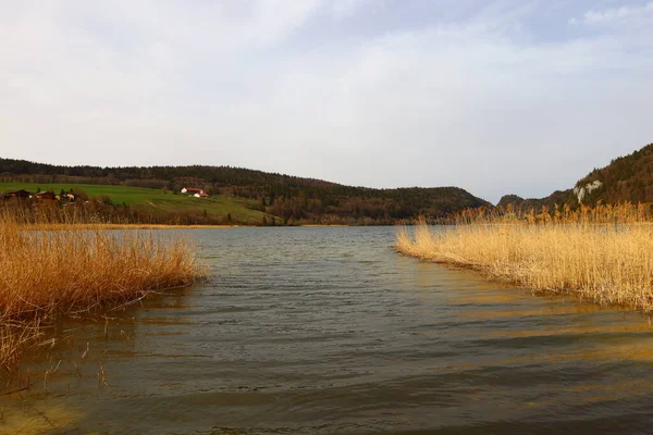 Θέα Στη Λίμνη Joux Στο Καντόνι Vaud Ελβετία — Φωτογραφία Αρχείου