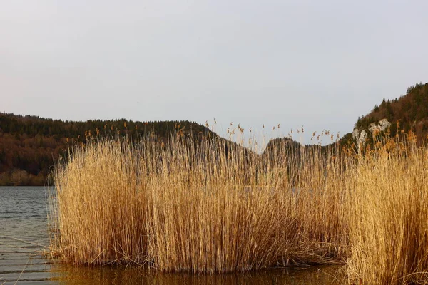 İsviçre, Vaud kantonundaki Joux Vadisi 'nde Brenet Gölü manzarası. 