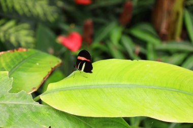 Fransa 'daki La Queue-les-Yvelines' deki 
