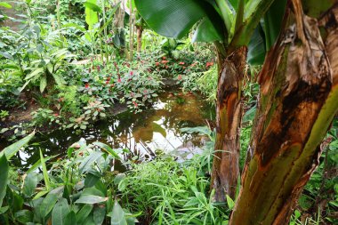 Fransa 'daki La Queue-les-Yvelines' deki 