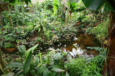 Fransa 'daki La Queue-les-Yvelines' deki 