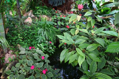 Fransa 'daki La Queue-les-Yvelines' deki 