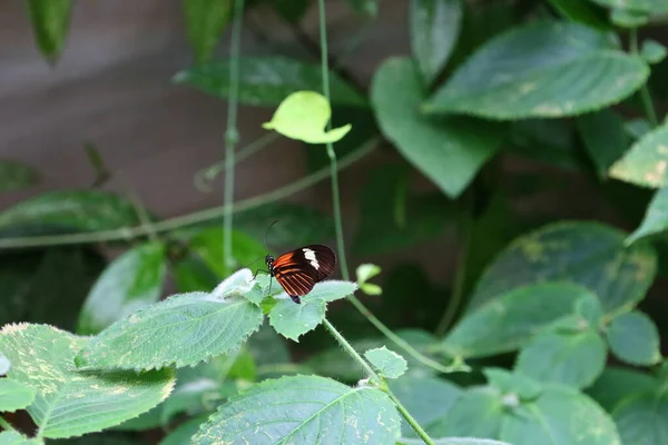 Fransa 'daki La Queue-les-Yvelines' deki 