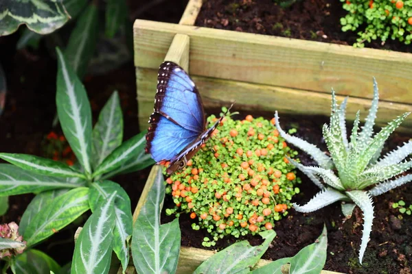 Fransa 'daki La Queue-les-Yvelines' deki 