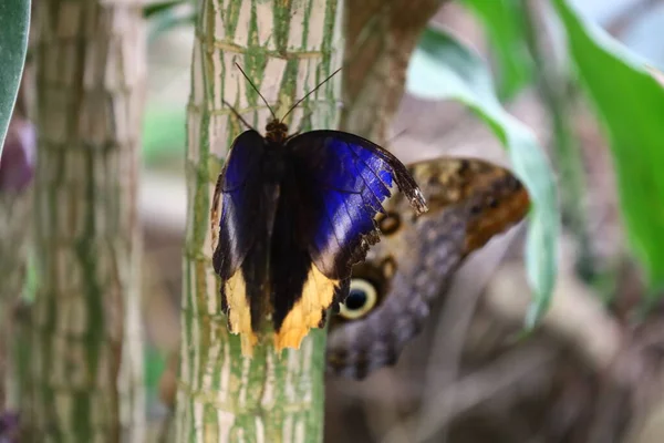 Fransa 'daki La Queue-les-Yvelines' deki 
