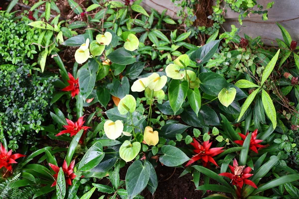 Fransa 'daki La Queue-les-Yvelines' deki 