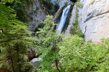 İsviçre 'nin doğusundaki Batı Rhaetian Alplerinde yer alan İsviçre Ulusal Parkı' ndaki bir şelaleye bakın.