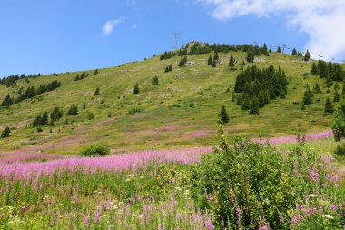 Fransa 'nın Haute-Savoie departmanındaki Magland belediyesine bağlı bir vadi manzarası.