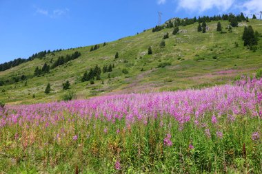 Fransa 'nın Haute-Savoie departmanındaki Magland belediyesine bağlı bir vadi manzarası.