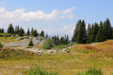 Fransa 'nın Haute-Savoie departmanındaki Magland belediyesine bağlı bir vadi manzarası.