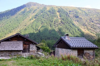 Fransa 'nın güneydoğusundaki Auvergne-Rhne-Alpes bölgesindeki Haute-Savoie departmanındaki Vallorcine komünü' ndeki bir dağa bakın.
