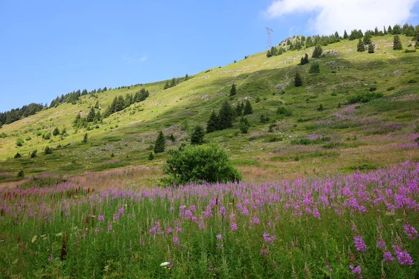 Utsikt Över Dal Kommunen Magland Departementet Haute Savoie Frankrike — Stockfoto