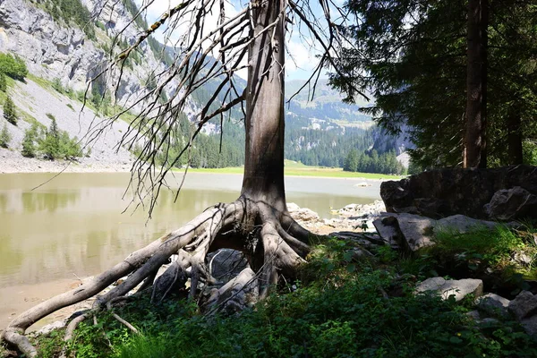 Blick Auf Den Flainensee Der Gemeinde Magland Departement Haute Savoie — Stockfoto