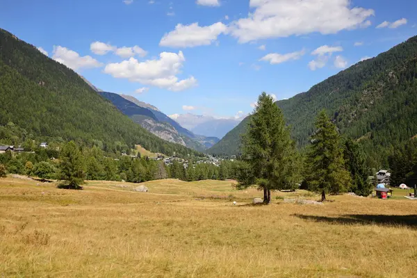 Widok Górę Gminie Vallorcine Departamencie Haute Savoie Regionie Auvergne Rhne — Zdjęcie stockowe