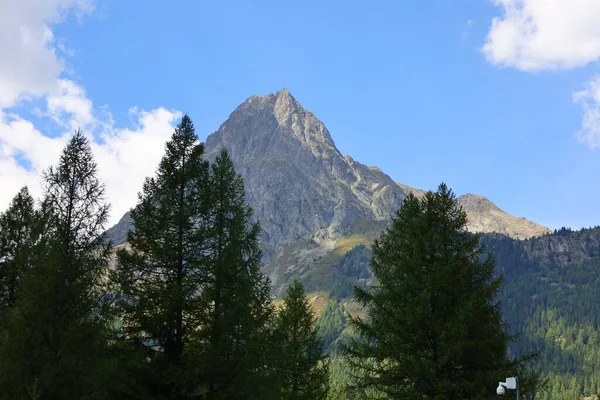 Widok Górę Gminie Vallorcine Departamencie Haute Savoie Regionie Auvergne Rhne — Zdjęcie stockowe