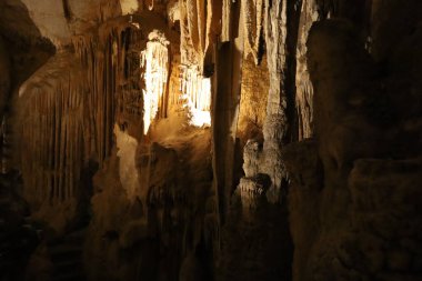 Grotte des Demoiselles, Fransa 'nın güneyindeki Hrault vadisinde, Nmes' in yaklaşık 60 km batısında yer alan bir mağara. Girişi Saint-Bauzille-de-Putois komün bölgesinde yer almaktadır..
