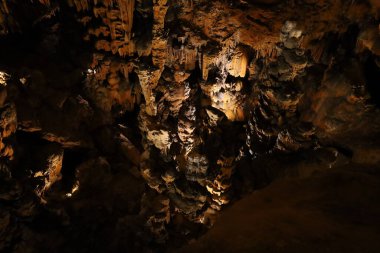 Grotte des Demoiselles, Fransa 'nın güneyindeki Hrault vadisinde, Nmes' in yaklaşık 60 km batısında yer alan bir mağara. Girişi Saint-Bauzille-de-Putois komün bölgesinde yer almaktadır..