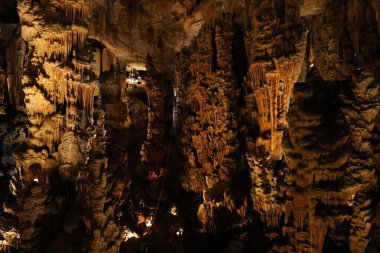 Grotte des Demoiselles, Fransa 'nın güneyindeki Hrault vadisinde, Nmes' in yaklaşık 60 km batısında yer alan bir mağara. Girişi Saint-Bauzille-de-Putois komün bölgesinde yer almaktadır..