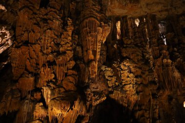 Grotte des Demoiselles, Fransa 'nın güneyindeki Hrault vadisinde, Nmes' in yaklaşık 60 km batısında yer alan bir mağara. Girişi Saint-Bauzille-de-Putois komün bölgesinde yer almaktadır..