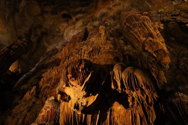 Grotte des Demoiselles, Fransa 'nın güneyindeki Hrault vadisinde, Nmes' in yaklaşık 60 km batısında yer alan bir mağara. Girişi Saint-Bauzille-de-Putois komün bölgesinde yer almaktadır..