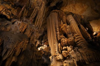 Grotte des Demoiselles, Fransa 'nın güneyindeki Hrault vadisinde, Nmes' in yaklaşık 60 km batısında yer alan bir mağara. Girişi Saint-Bauzille-de-Putois komün bölgesinde yer almaktadır..