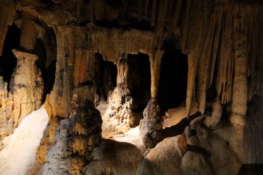 Grotte des Demoiselles, Fransa 'nın güneyindeki Hrault vadisinde, Nmes' in yaklaşık 60 km batısında yer alan bir mağara. Girişi Saint-Bauzille-de-Putois komün bölgesinde yer almaktadır..