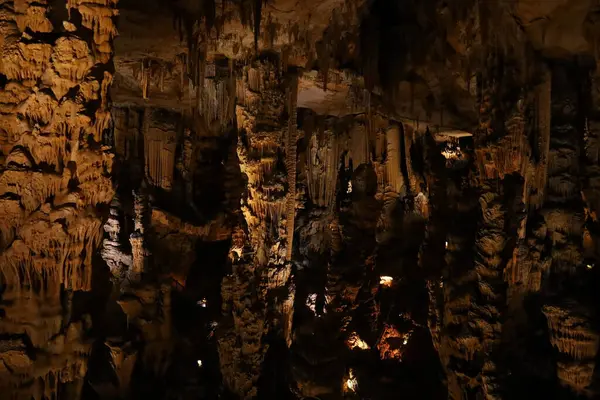 Grotte des Demoiselles, Fransa 'nın güneyindeki Hrault vadisinde, Nmes' in yaklaşık 60 km batısında yer alan bir mağara. Girişi Saint-Bauzille-de-Putois komün bölgesinde yer almaktadır..