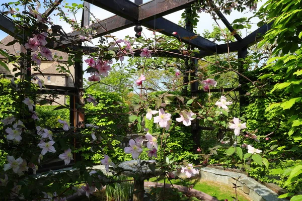 Vista Jardin Des Cinq Sens Que Jardim Localizado Coração Yvoire — Fotografia de Stock