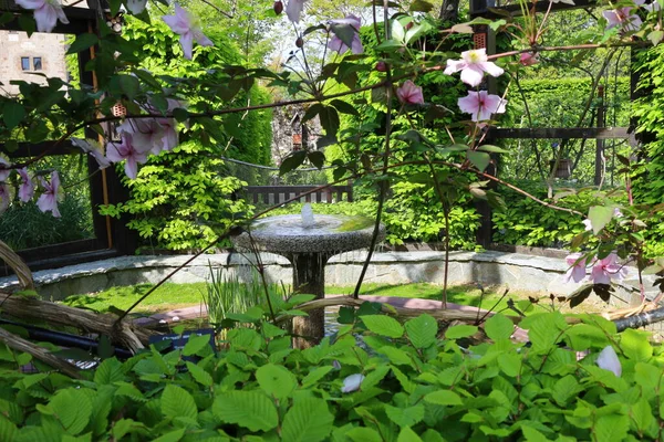 Vista Nel Jardin Des Cinq Sens Giardino Situato Nel Cuore — Foto Stock