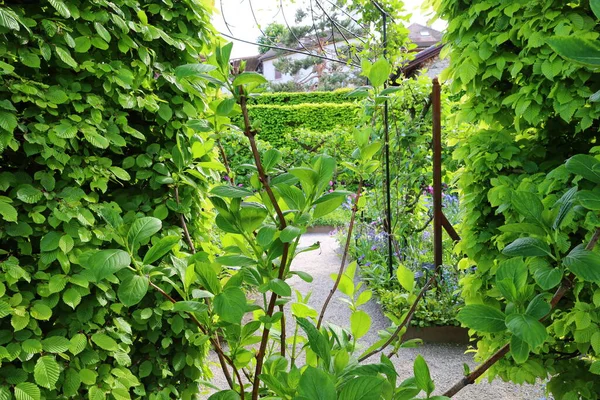 Haute-Savoi 'de Yvoire' nin göbeğinde bulunan Jardin des Cinq Sens 'in manzarası. 900' den fazla bitki çeşidi barındırıyor.