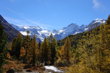 Bernina Geçidi, İsviçre 'nin doğusundaki Graubnden kantonunda, Alplerin Bernina Dağları' nda yüksek bir dağ geçididir.