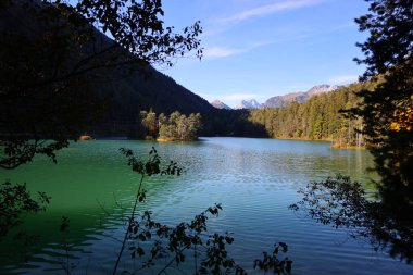 Alpsee, Almanya 'da Bavyera eyaletinde yer alan bir göldür.