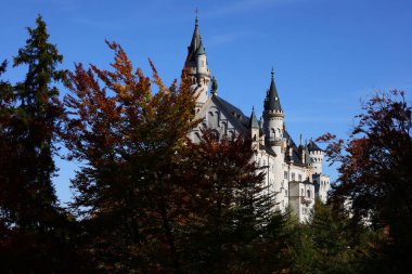 Neuschwanstein Şatosu, Almanya 'nın güneyinde Alplerin eteklerinde engebeli bir tepenin üzerinde 19. yüzyıldan kalma tarihçi bir saraydır.