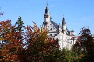 Neuschwanstein Şatosu, Almanya 'nın güneyinde Alplerin eteklerinde engebeli bir tepenin üzerinde 19. yüzyıldan kalma tarihçi bir saraydır.