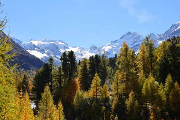 The Bernina Pass is a high mountain pass in the Bernina Range of the Alps, in the canton of Graubnden in eastern Switzerland